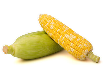 Two colors sweet corn, peeled isolated on white background