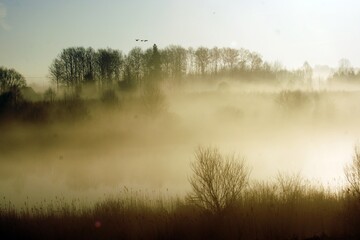 mgła na Mazurach © novi59