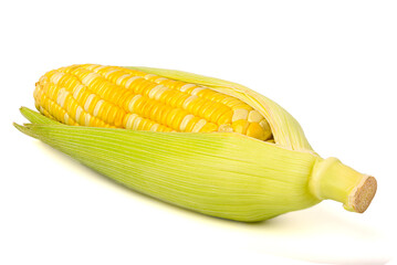 Two colors sweet corn,isolated on white background