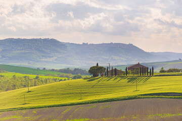Fototapeta premium Unique green landscape in Orcia Valley, Tuscany, Italy. Morning light with mist and fog over cultivated hill range and cereal crop fields.