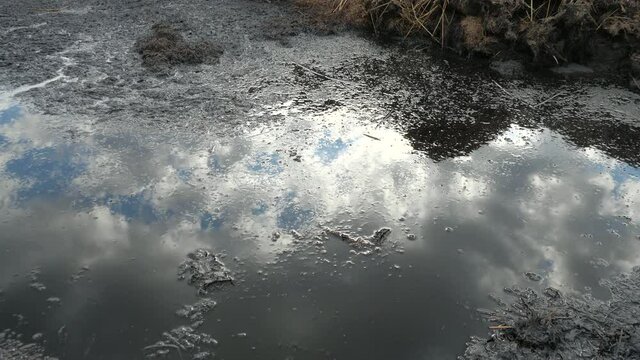 Dense manure flows out of the manure storage. Stone thrown in the trash. Ecological burden of danger organic waste.