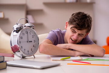 Schoolboy preparing for exams at home