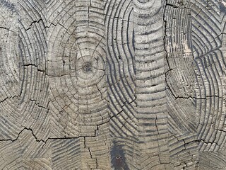 Fototapeta premium old wood texture