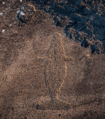 The famous petroglyphs at Cape Besov nos in Lake Onega, Whale drawing