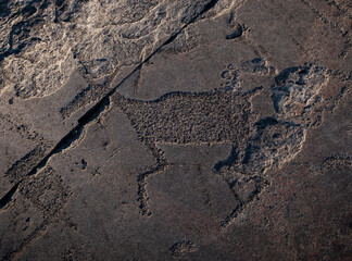 The famous petroglyphs at Cape Besov nos in Lake Onega, Deer drawing