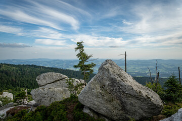 Fototapeta premium Dreisesselberg Bayerischer Wald