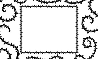 茨のフレーム枠モノクロ