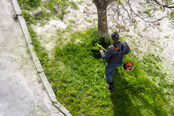 Obraz premium The gardener cuts the grass with a hand-held electric lawn mower.