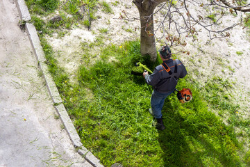 The gardener cuts the grass with a hand-held electric lawn mower.