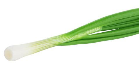 Fresh green onion isolated on white background.