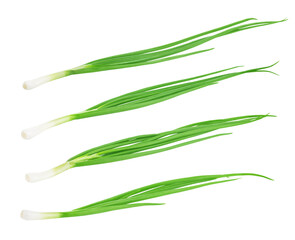 Fototapeta premium Collection of a fresh green onion isolated on white background.