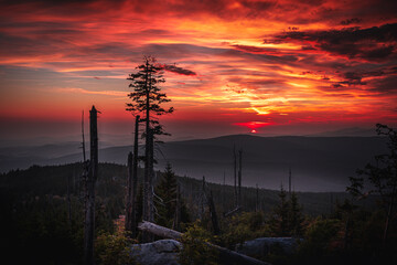 Dreisesselberg Bayerischer Wald