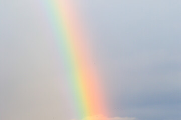 beautiful rainbow after the rain