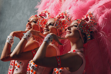 Three Women profile portrait in samba or lambada costume with pink feathers plumage. - obrazy, fototapety, plakaty