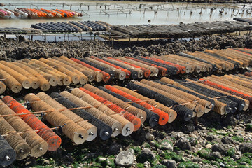 Tubes pour captage des larves d'huitres