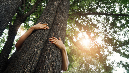 Woman hugging a big tree in the outdoor forest, Ecology and nature, Protect environment and save...