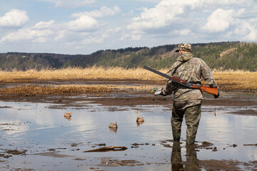 a hunter makes a placement of duck decoy on a muddy lake - obrazy, fototapety, plakaty