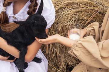 Girls feed a baby goat with milk