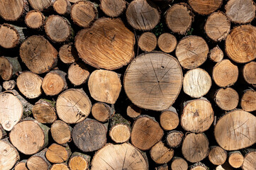 Stacked wood logs. Firewood pattern. Wooden background