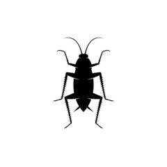 Cockroach logo. Isolated cockroach on white background