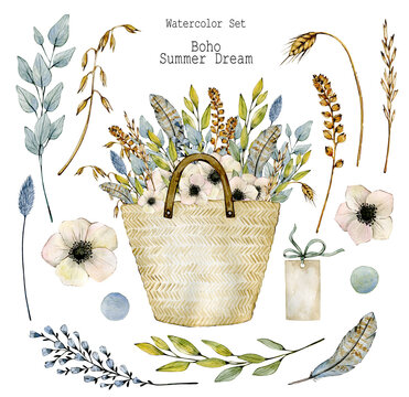 Watercolor illustration set with straw bag, anemones, eucalyptus, feathers and ears of corn. Hand drawn clipart. Isolated on white background.