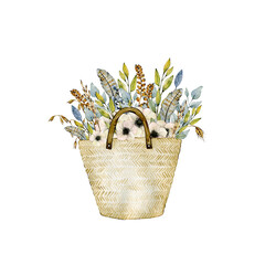 Watercolor illustration with straw bag, anemones, eucalyptus, feathers and ears of corn. Hand drawn clipart. Isolated on white background.