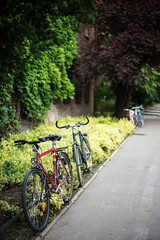 alley in a city park with parked bicycles