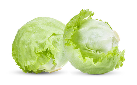 Green Iceberg Lettuce On White