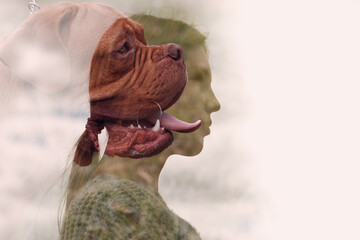 Multiple exposure image Dogue de Bordeaux or French Mastiff with young woman at outdoor park.