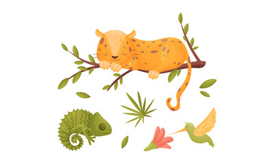 Cute exotic animals set. Panther, chameleon and hummingbird cartoon vector illustration