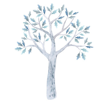 Beautiful stock illustration set with cute watercolor hand drawn trees.