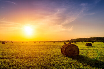 A field with haystacks on a summer or early autumn evening with a cloudy sky in the background....