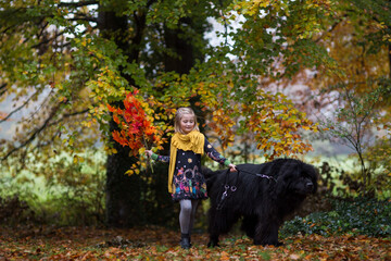 Blondes kleines Mädchen spielt mit ihrem schwarzen Neufundländer im Herbstwald. In der Hand hat sie den bunten Herbststrauß. Im Hintergrund ist feld, Holzzaun, Landschaft. 