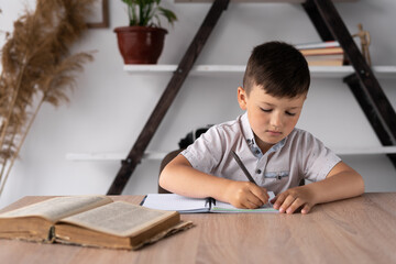 Workplace and homework of a schoolboy boy sitting at a lesson at a desk. Home school. Pupil or...