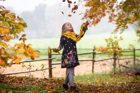 Blondes kleines M&auml;dchen spielt im Wald mit den Herbstbl&auml;ttern, schmei&szlig;t sie in die Luft und schaut hoch. .Im Hintergrund ist ein Feld, Holzzaun, Nebel.