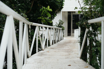 bridge in the park