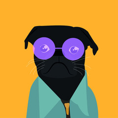 Stylish dark-colored bulldogs with glasses