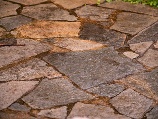 Natural stone path in the garden. The stones are wet from rain.