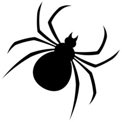Spider. Silhouette. Vector illustration. Outline on an isolated white background. Flat style. Bloodthirsty predator. Black Widow. Halloween symbol. A clever hunter. All Saints Day.
