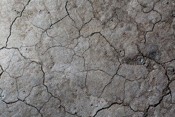 Dry cracked earth ground texture. No watering desert