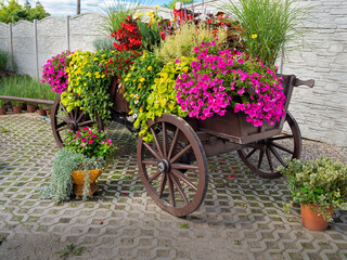 Fototapeta na wymiar horse cart in flowers