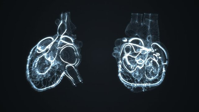 Dynamic pulsating heart. MRI scanning. Heart beat line. Cardiogram signal monitoring process. Patient&rsquo;s vital signs displayed on hospital screen. EKG, ECG curve. Pulse measuring. Medical 4K animation