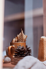 Corns, autumn leaves, pine cones and coffee cup on windowsill. Creative autumnal background near the windows in a sunny autumn day