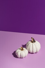 Two white decorative pumpkins on lilac and purple background in hard light with copy space. - 451375941
