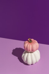 Two decorative pumpkins on lilac and purple background in hard light with copy space. - 451375949