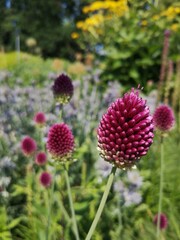 Bundesgartenschau &ndash; Buga Erfurt 2021