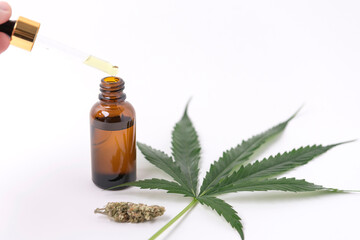 Cannabis oil extracts in jars and green cannabis leaves, marijuana isolated on white background. Growing medical and herb marijuana.