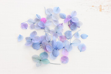 Fototapeta na wymiar Top view image of Hydrangea flowers composition over white wooden background .Flat lay