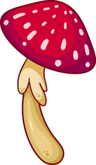 Mushroom red and white