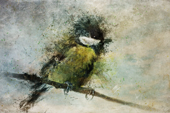 Bird tomtit sitting on a branch. Watercolor digital illustration. Splashes of paint. Expressive drawing style. Grunge textures. Multicolored explosions of paint..